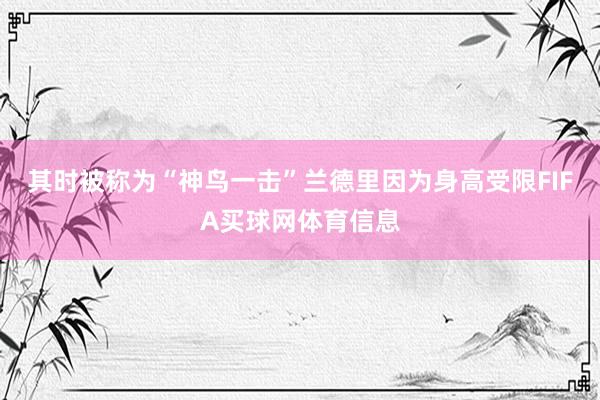 其时被称为“神鸟一击”兰德里因为身高受限FIFA买球网体育信息