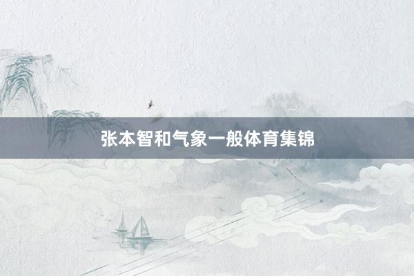张本智和气象一般体育集锦