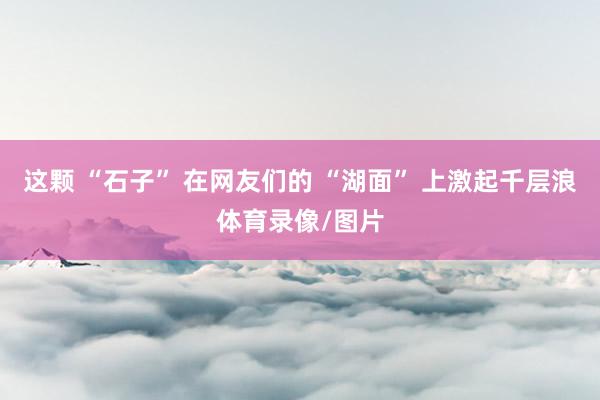 这颗 “石子” 在网友们的 “湖面” 上激起千层浪体育录像/图片