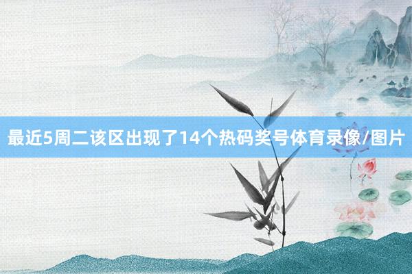 最近5周二该区出现了14个热码奖号体育录像/图片