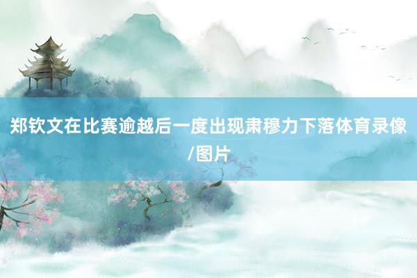 郑钦文在比赛逾越后一度出现肃穆力下落体育录像/图片