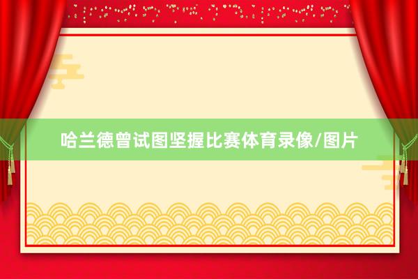 哈兰德曾试图坚握比赛体育录像/图片