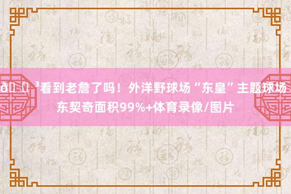 😳看到老詹了吗！外洋野球场“东皇”主题球场 东契奇面积99%+体育录像/图片