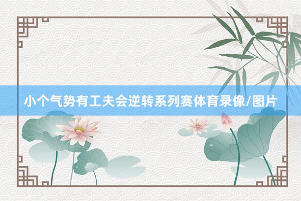 小个气势有工夫会逆转系列赛体育录像/图片