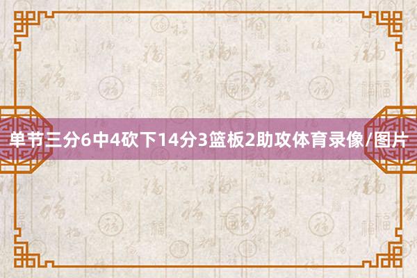 单节三分6中4砍下14分3篮板2助攻体育录像/图片