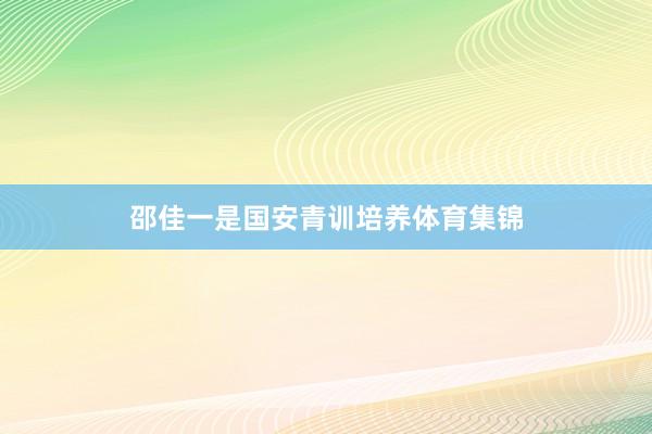 邵佳一是国安青训培养体育集锦