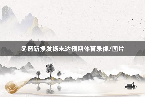 冬窗新援发扬未达预期体育录像/图片
