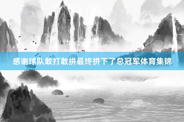 感谢球队敢打敢拼最终拼下了总冠军体育集锦