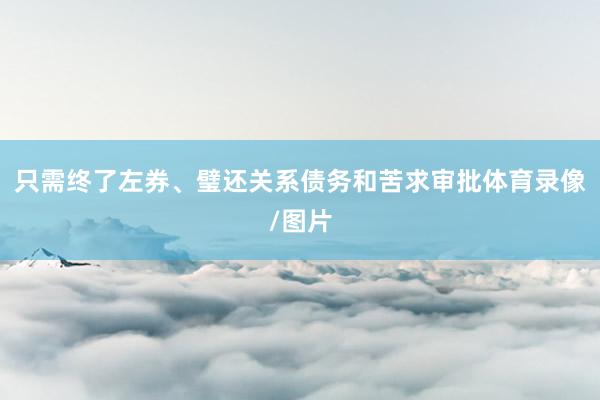只需终了左券、璧还关系债务和苦求审批体育录像/图片