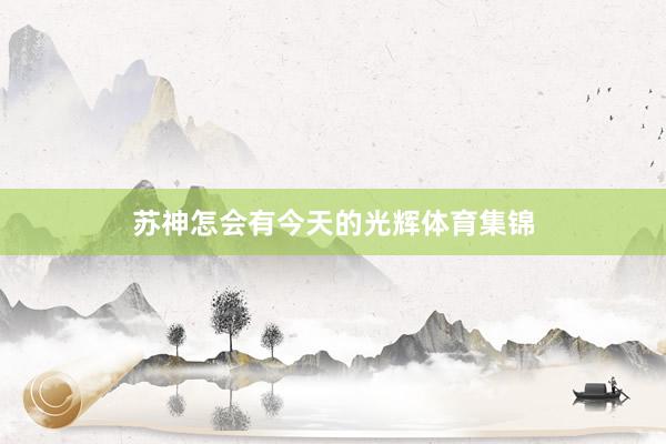 苏神怎会有今天的光辉体育集锦