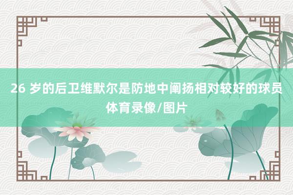 26 岁的后卫维默尔是防地中阐扬相对较好的球员体育录像/图片