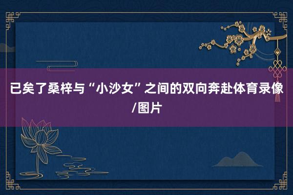 已矣了桑梓与“小沙女”之间的双向奔赴体育录像/图片