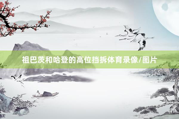 祖巴茨和哈登的高位挡拆体育录像/图片