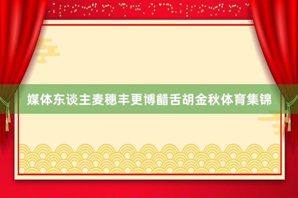 媒体东谈主麦穗丰更博齰舌胡金秋体育集锦