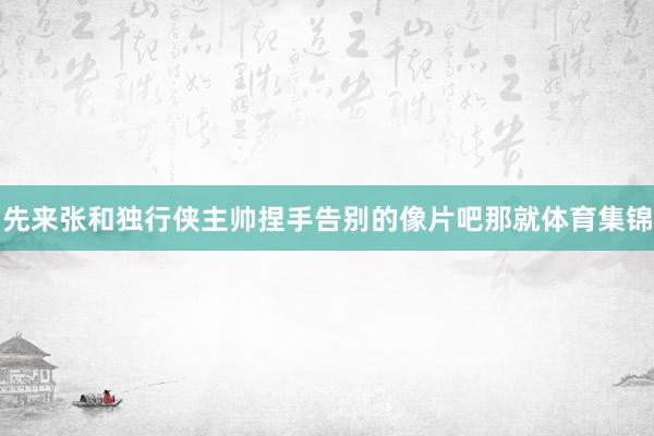 先来张和独行侠主帅捏手告别的像片吧那就体育集锦