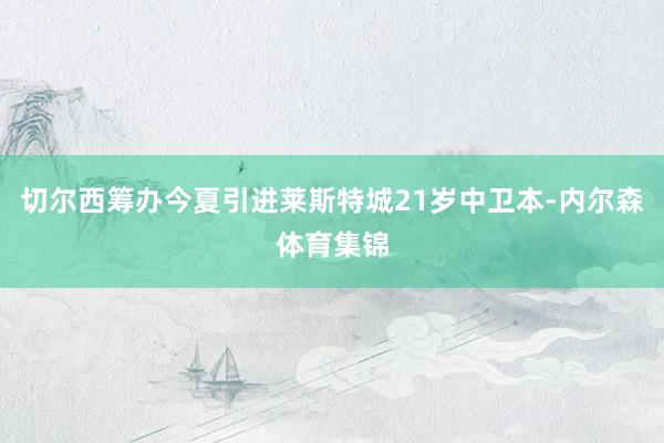 切尔西筹办今夏引进莱斯特城21岁中卫本-内尔森体育集锦
