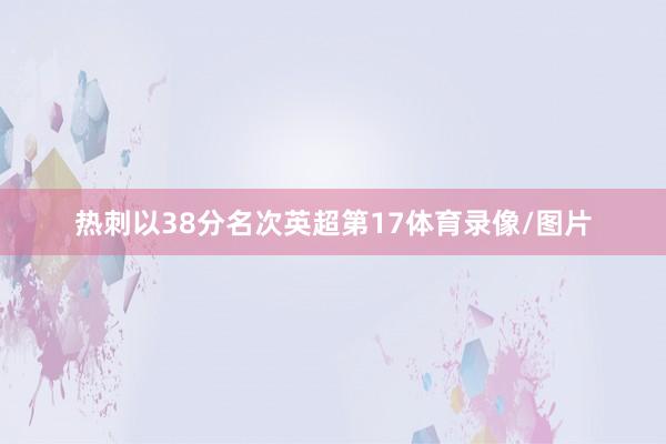 热刺以38分名次英超第17体育录像/图片