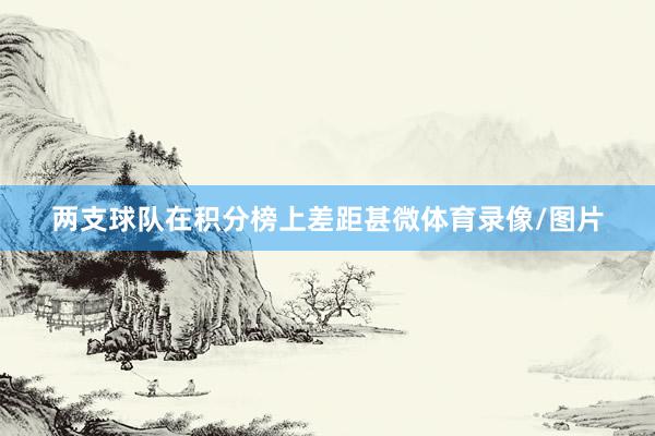 两支球队在积分榜上差距甚微体育录像/图片