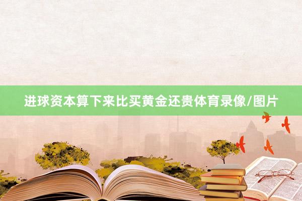 进球资本算下来比买黄金还贵体育录像/图片