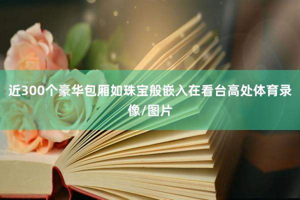 近300个豪华包厢如珠宝般嵌入在看台高处体育录像/图片