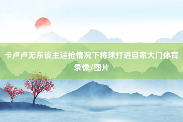 卡卢卢无东谈主逼抢情况下将球打进自家大门体育录像/图片
