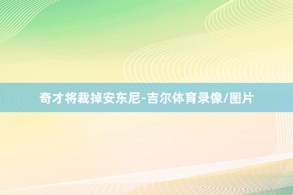 奇才将裁掉安东尼-吉尔体育录像/图片