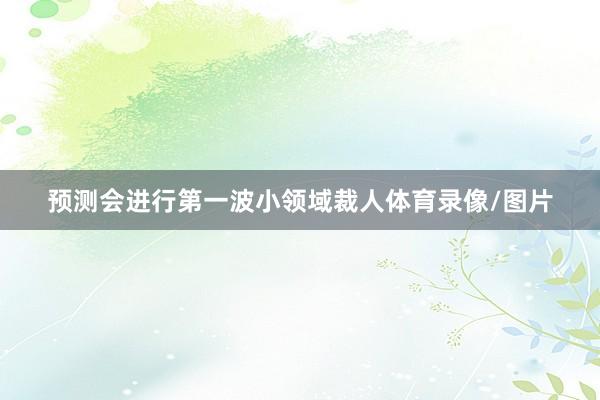 预测会进行第一波小领域裁人体育录像/图片