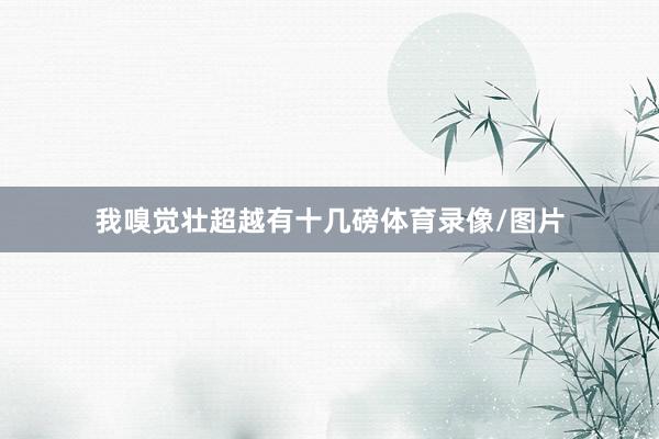 我嗅觉壮超越有十几磅体育录像/图片