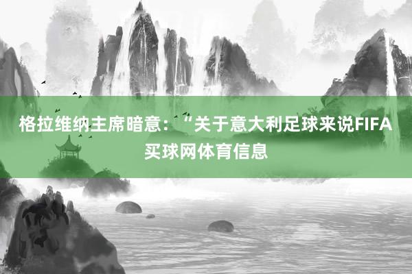 格拉维纳主席暗意：“关于意大利足球来说FIFA买球网体育信息