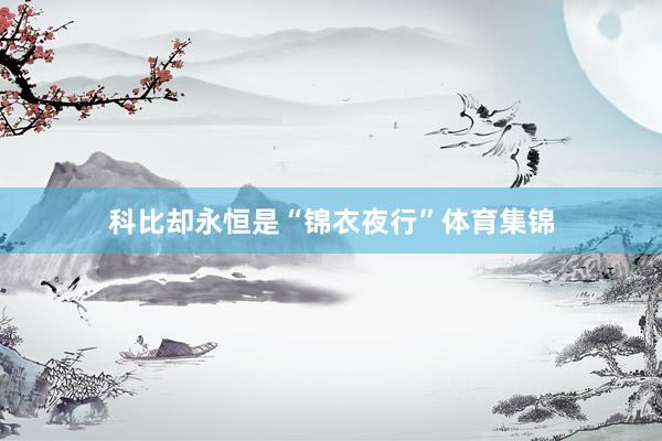 科比却永恒是“锦衣夜行”体育集锦