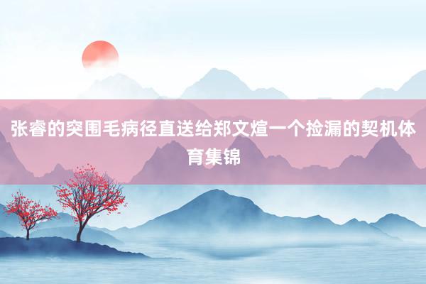 张睿的突围毛病径直送给郑文煊一个捡漏的契机体育集锦