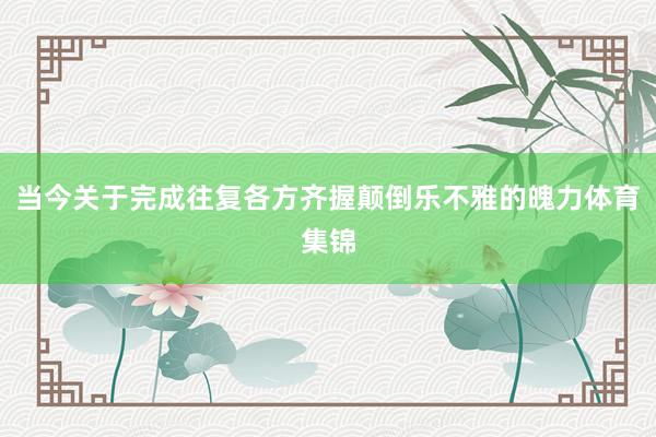 当今关于完成往复各方齐握颠倒乐不雅的魄力体育集锦