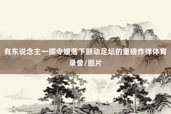 有东说念主一掷令嫒落下颤动足坛的重磅炸弹体育录像/图片