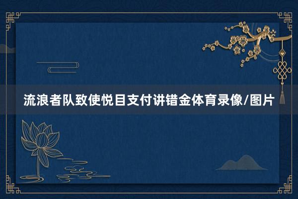 流浪者队致使悦目支付讲错金体育录像/图片
