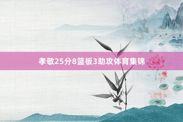 孝敬25分8篮板3助攻体育集锦