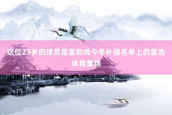 这位23岁的球员是富勒姆今冬补强名单上的首选体育集锦