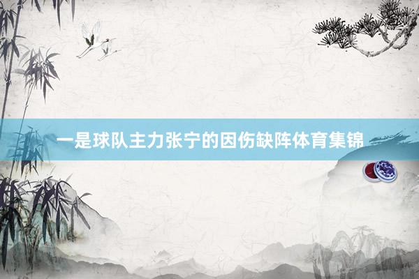一是球队主力张宁的因伤缺阵体育集锦