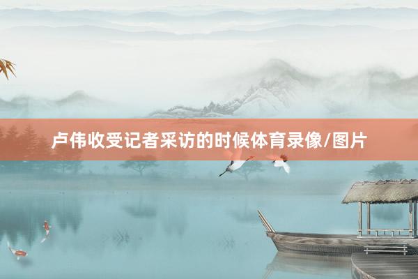 卢伟收受记者采访的时候体育录像/图片