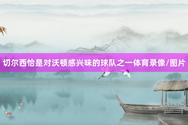 切尔西恰是对沃顿感兴味的球队之一体育录像/图片