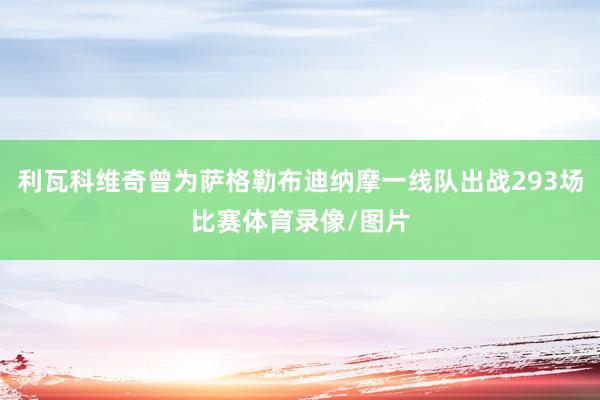 利瓦科维奇曾为萨格勒布迪纳摩一线队出战293场比赛体育录像/图片