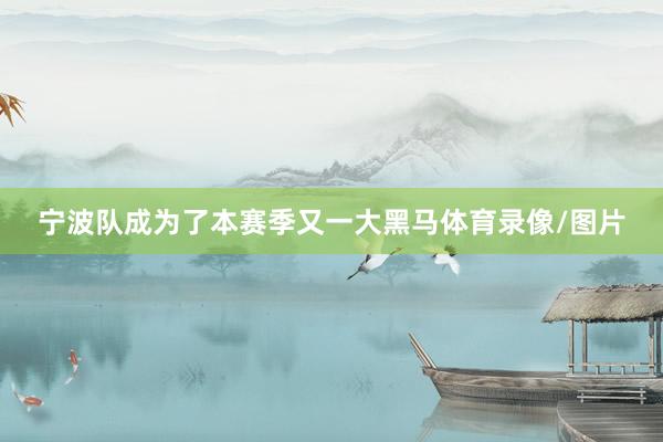 宁波队成为了本赛季又一大黑马体育录像/图片