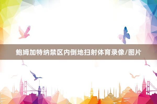 鲍姆加特纳禁区内倒地扫射体育录像/图片