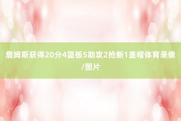 詹姆斯获得20分4篮板5助攻2抢断1盖帽体育录像/图片