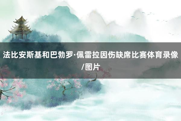 法比安斯基和巴勃罗·佩雷拉因伤缺席比赛体育录像/图片