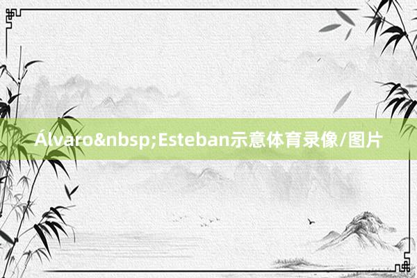 Álvaro&nbsp;Esteban示意体育录像/图片