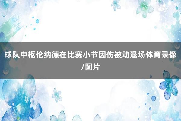 球队中枢伦纳德在比赛小节因伤被动退场体育录像/图片