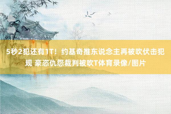 5秒2犯还有1T！约基奇推东说念主再被吹伏击犯规 豪恣仇怨裁判被吹T体育录像/图片