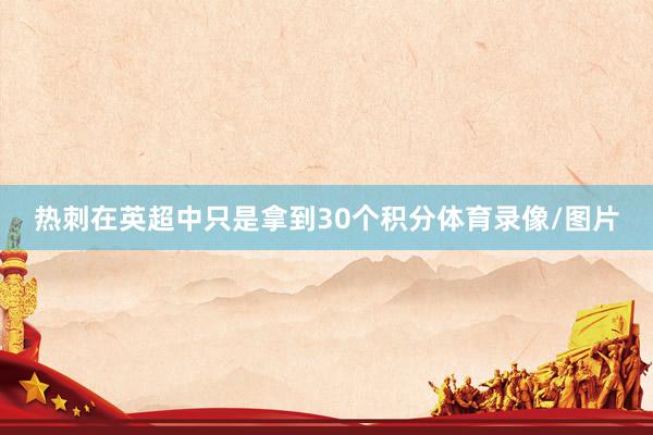 热刺在英超中只是拿到30个积分体育录像/图片