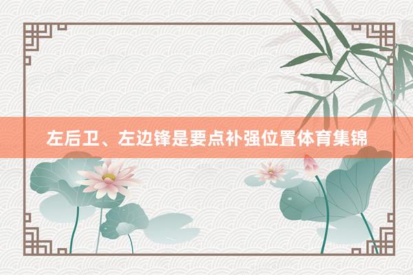 左后卫、左边锋是要点补强位置体育集锦