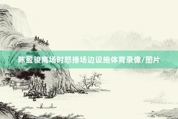 陈盈骏离场时怒捶场边设施体育录像/图片